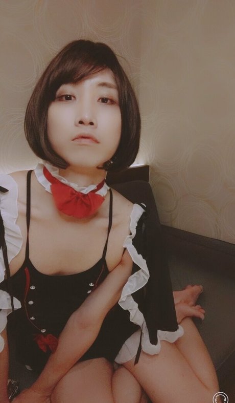 opoppo star art archive