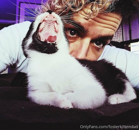 fosterkittendad star high quality photo