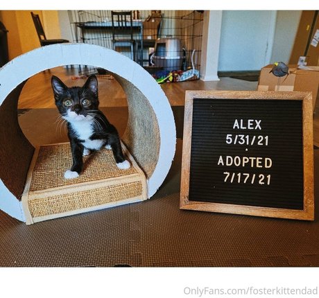 fosterkittendad hd pornstar photos