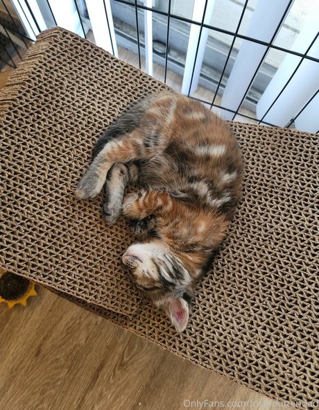 big tits anal onlyfans beautiful pics