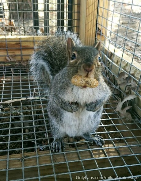 mikaylarainesfans best model gallery