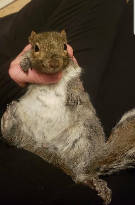 mikaylarainesfans model archive