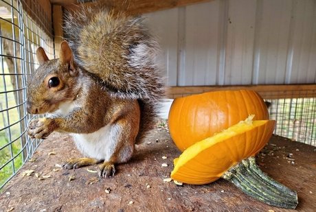 mikaylarainesfans art model pictures