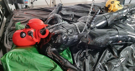 rubberdollemma star perfect gallery