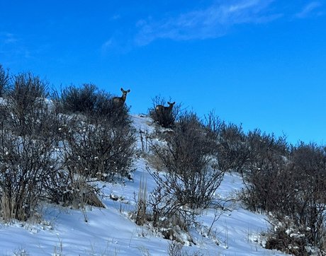 audreybelletv star nudes pic