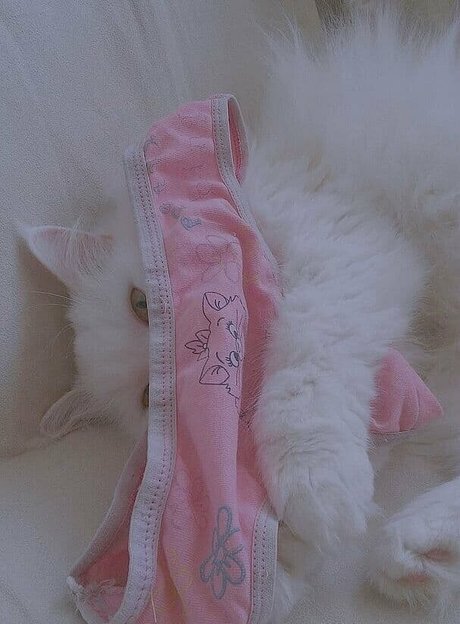 cutekatrin model top images