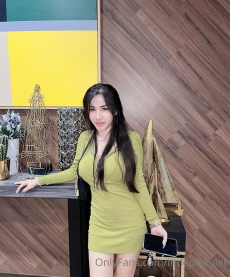 littlepinkylek porn model pics