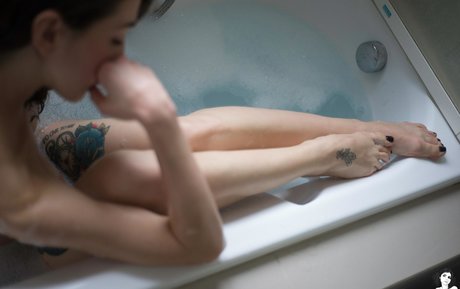 Zenit sg star nice picture