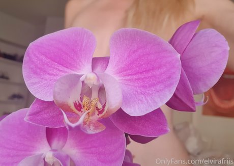 elvirafriis pretty pornstar pictures