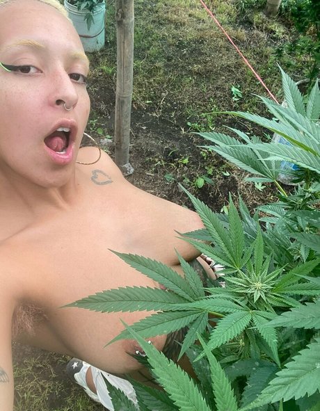 amateur onlyfans nice photo