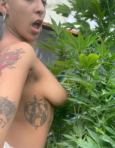 massive tits onlyfans naked photo