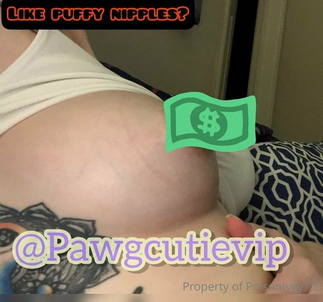 pawgcutie1 porn model picture