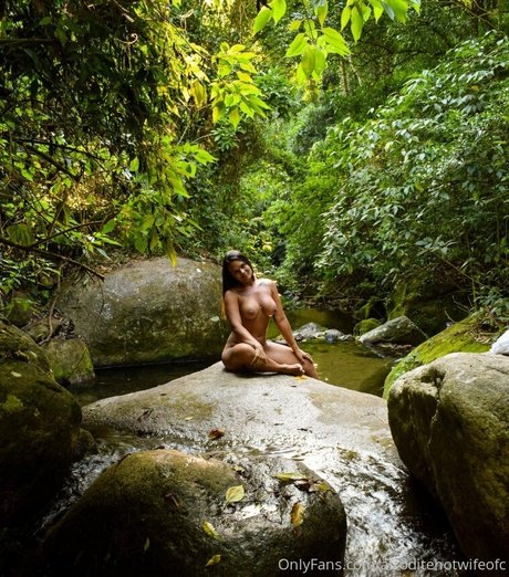 ofcafroditerj exclusive star archive