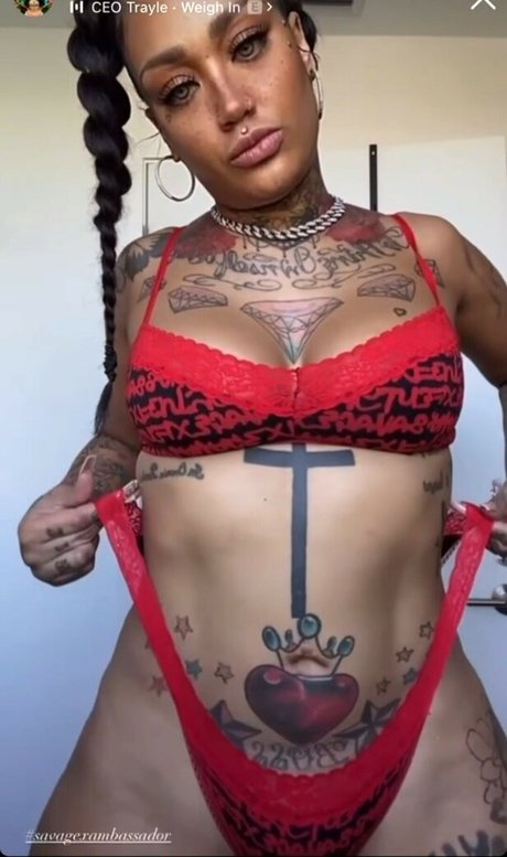 Donna Lombardi star perfect picture