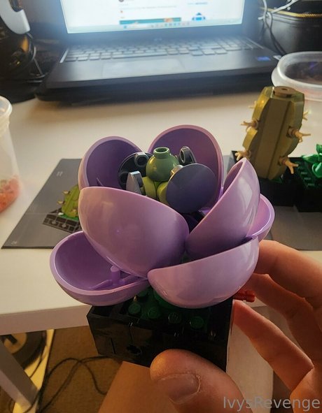 ivysrevenge top actress archive