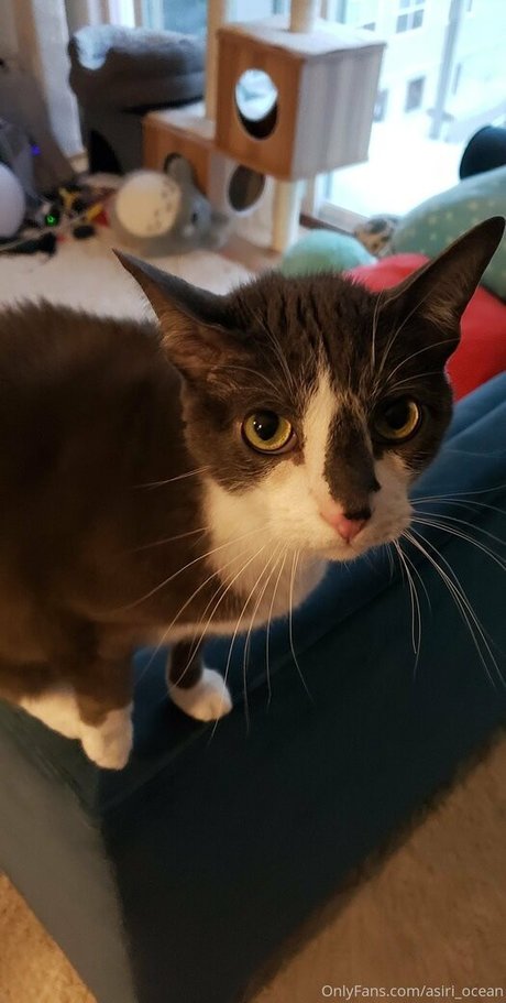 teacher onlyfans free gallery