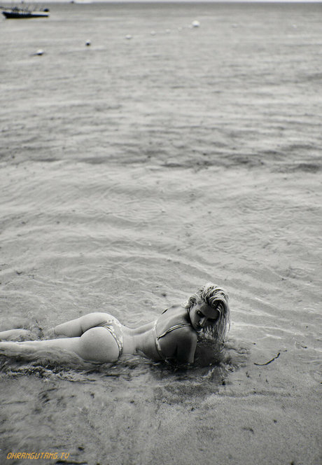 Ohrangutang star porn pictures