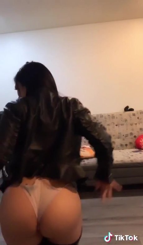 Anhastacia Fox model art img