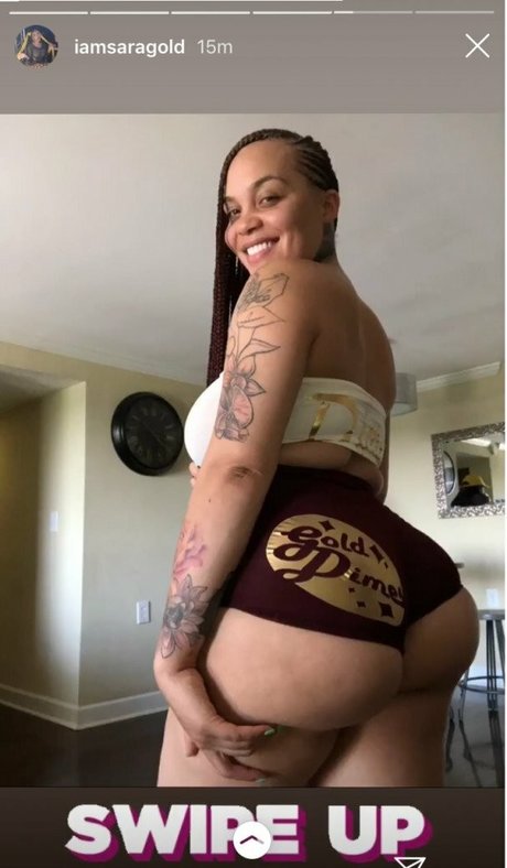 SaraGold best model img