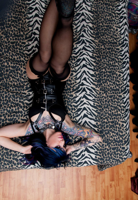 blownupdoll nude pornstar img