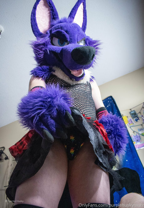 purplehuskymurr star free galleries