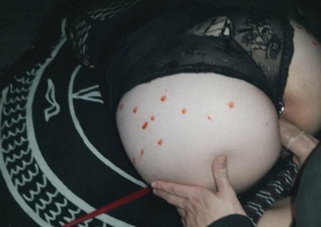 morguecat model high quality img