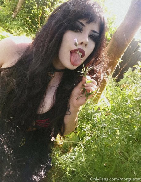 morguecat pornstar adult image