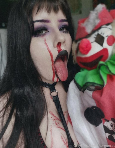 morguecat model best picture