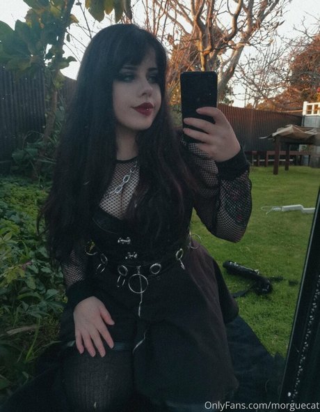 morguecat star hot photos