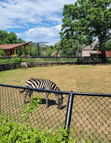 peachyqueen45 pornstar beautiful img