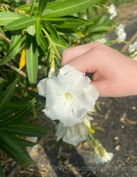 violetcosmos model naked photos