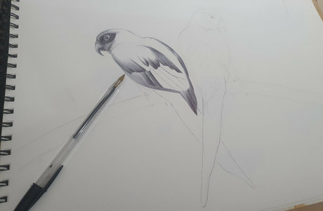 Somethingnotsilly model nude galleries