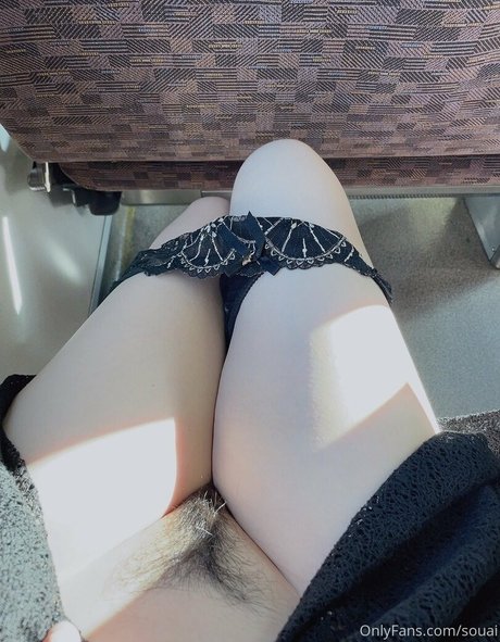 souai Quick model image