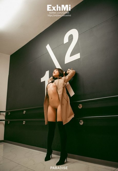 ExhMi model nice gallery