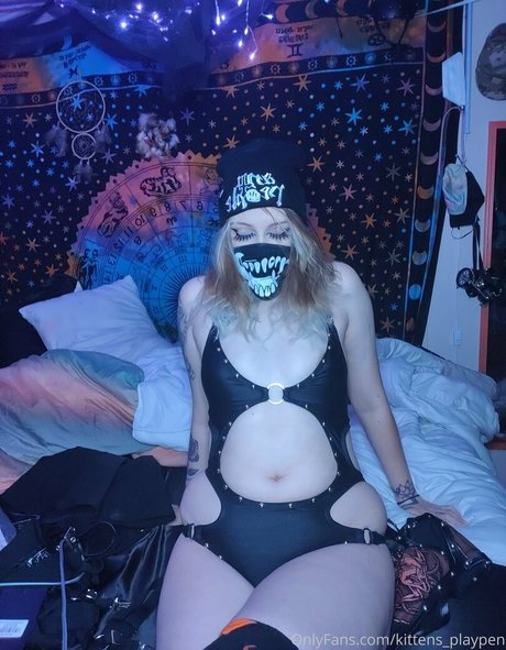 kittens playpen model beautiful pic