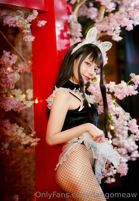 Dango Meaw star nudes photos