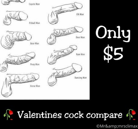 mrnmrsclimax pornstar perfect archive