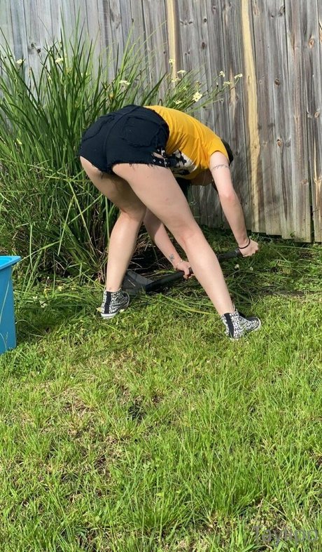 taylipo pornstar xxx img