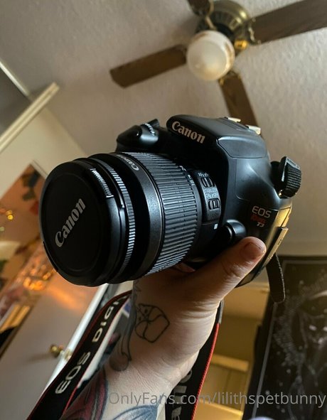 lilithspetbunny sex model pictures