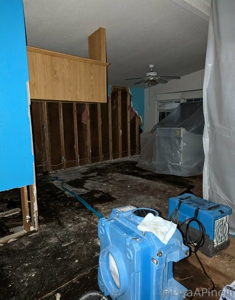 lisaapinelli pornstar best pictures