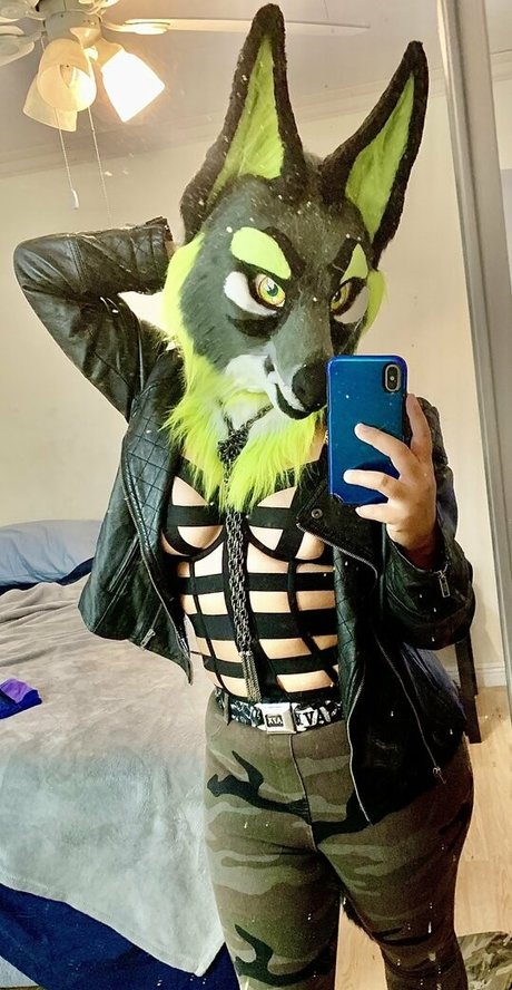 luxurious luxor exclusive star images