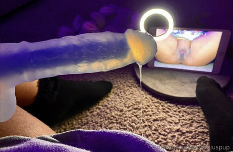 Morbiuspup star xxx img