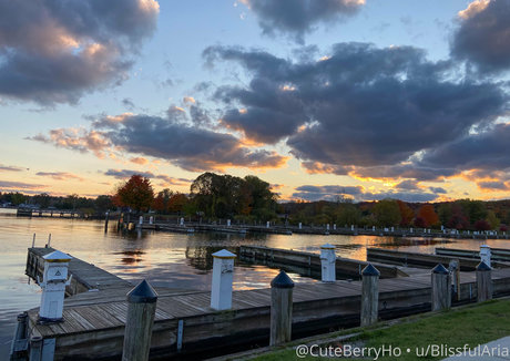 hiblissfularia model picture