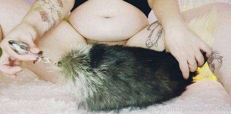 littlevicious star nice galleries