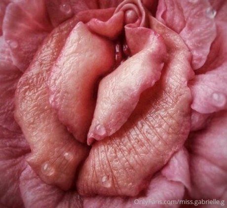 miss gabrielle g hot star photos