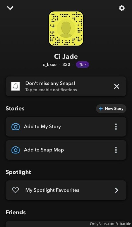 cibarbie nice star gallery