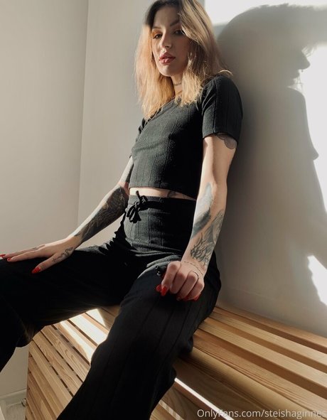 steishaginnes free model archive