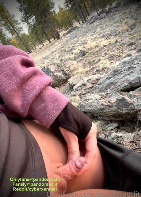 Pandorasclit star xxx gallery