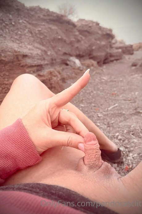 Pandorasclit star hot picture