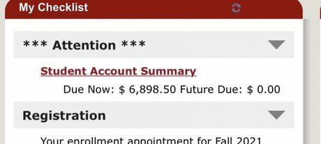 suezuu perfect model galleries